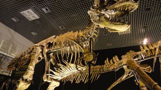 大恐竜展