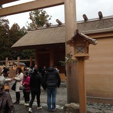 今年もおねがいします