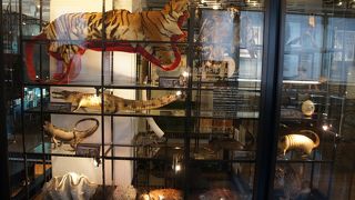 税関の役割を理解するという内容