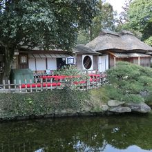 御茶をいただくところ