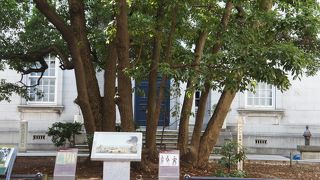 ハマの歴史の生き証人