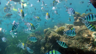 想像以上に楽しかった