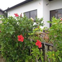 緑や花に囲まれた客室です。