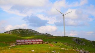 日本じゃないみたい！夏でも涼しいです。