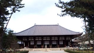 雪の舞う中来ました唐招提寺