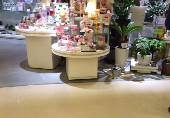 プランツプランツ なんばパークス店 クチコミ アクセス 営業時間 ミナミ 難波 天王寺 フォートラベル プランツプランツ なんばパークス店 クチコミ アクセス 営業時間 ミナミ 難波 天王寺 フォートラベル