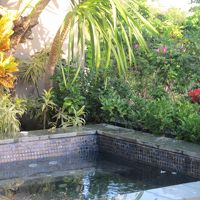 プールの横にあるジャグジーです♪ぬるま湯です♪