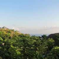 初日に宿泊する予定だったガーデンビューの部屋からの眺め♪