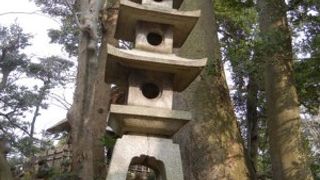 見る方向によって穴の形が違う