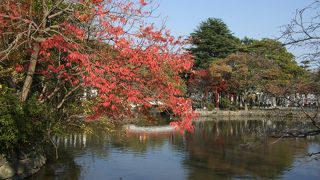 源氏の二引の白旗