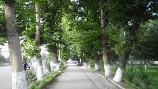 立派な木々の並木道、雪解け水の小川沿い、緑の林、トロリーバスが走るオシュ・ラザコフ大通り