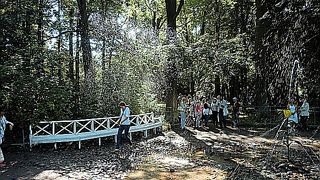 手動のようです…