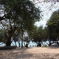 ここからの眺めが綺麗だった