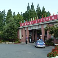 復旦大学まで散歩