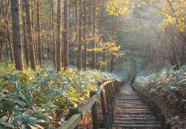 紅葉がきれい。公園奥からの樽前山も良かった。