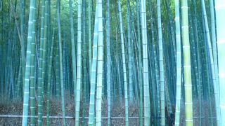 美しい日本の風景