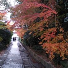 ねねの道から高台寺に向かう道