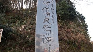 これからは　桜