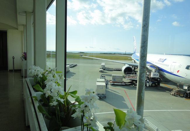 いつも何所かに花が有る