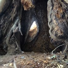 上手くとれてないのですが、穴からの木漏れ陽が焚火のようなの！