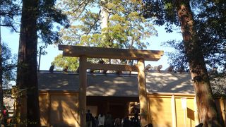 大鳥居は、さすがに圧巻です。