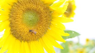 夏にエネルギーをもらえる場所