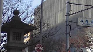 冬場じゃない表参道