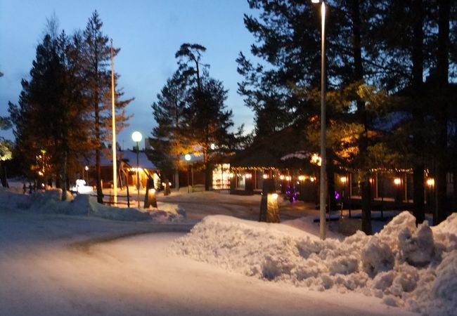 高級ラップランド料理