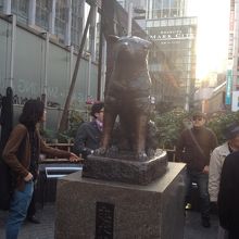 可愛いですね。