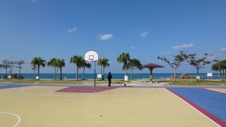 様々なスポーツが楽しめまめす！