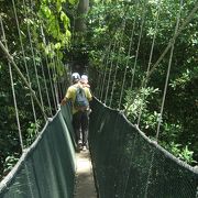 キナバル山を見てから、ボルネオのジャングルと温泉を堪能