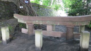 噴火のすごさがわかる！