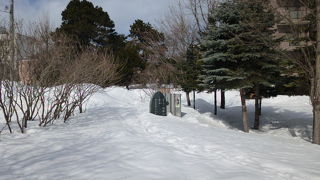 一面の雪でした