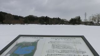 ただの雪原・・・