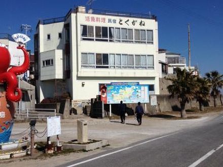 日間賀島　民宿　とくがね 写真