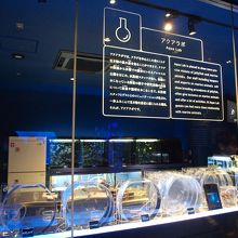 実験室のようです