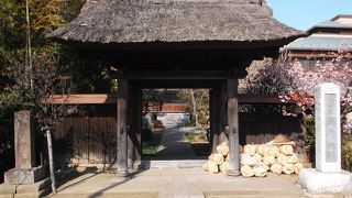 蓮の咲く頃の訪問がよさそう・・車窓から見えるお寺