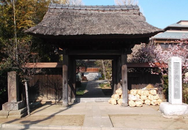 蓮の咲く頃の訪問がよさそう・・車窓から見えるお寺