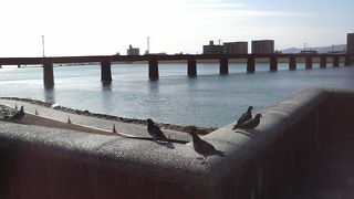 川沿いにはヤシの木やホテルが並び、リゾート地らしい雰囲気も