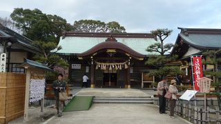 しだれ梅で有名、素晴らしい