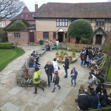 建物内からの中庭