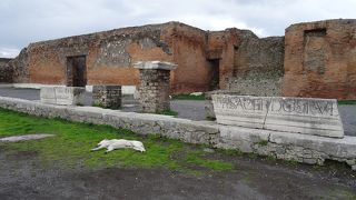 青い空のした、のんびりした時間が流れます。