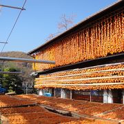 恵林寺を訪れたら立ち寄ってみる価値あります。袋につめ放題でころ柿の販売をしていました。味見もいただきました。