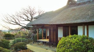 襖絵が素晴らしい