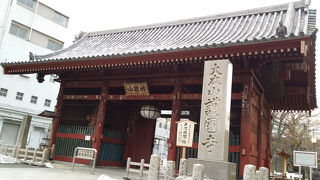 ネコがいっぱいいるお寺