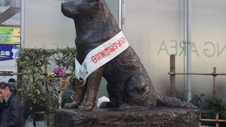 意外とちっちゃいワンちゃんですね