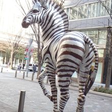 リアルなシマウマ。いまにも「ワンワン」と啼きだしそう。