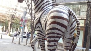 なんといってもシマウマ