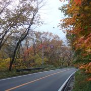 せっかくの紅葉も、新たな道路開発で減ってしまった