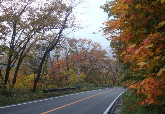 せっかくの紅葉も、新たな道路開発で減ってしまった